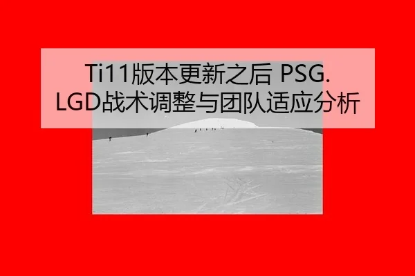 ban-ben-geng-xin-zhi-hou-zhan-shu-tiao-zheng-yu-tuan-dui-shi-ying-fen-xi-3-424.jpg